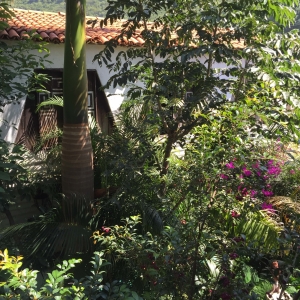  - tlajomulco,